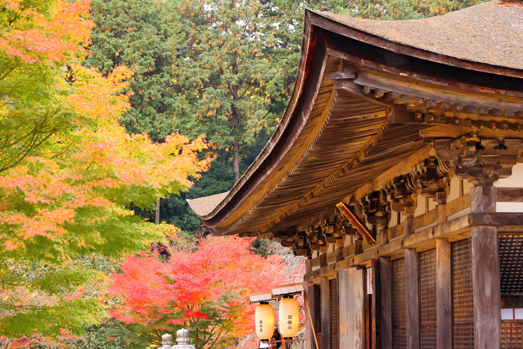 湖南三山　善水寺