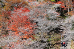 石段