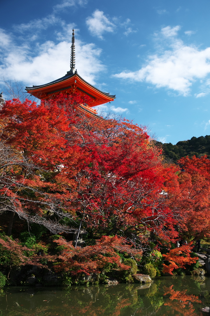 成就院