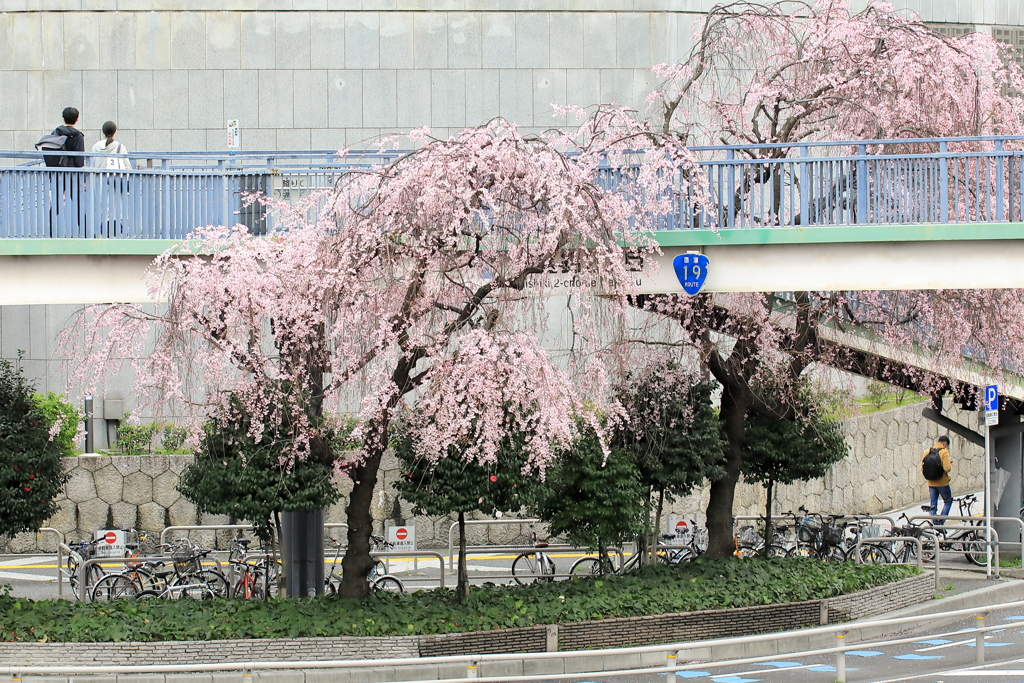 19号線の交差点