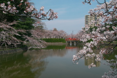 刈谷市亀城公園