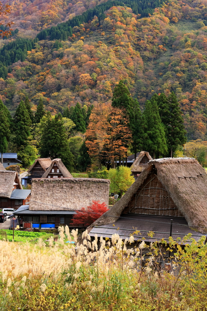 合掌の里