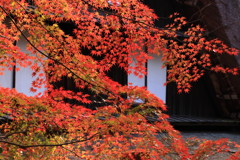 窓