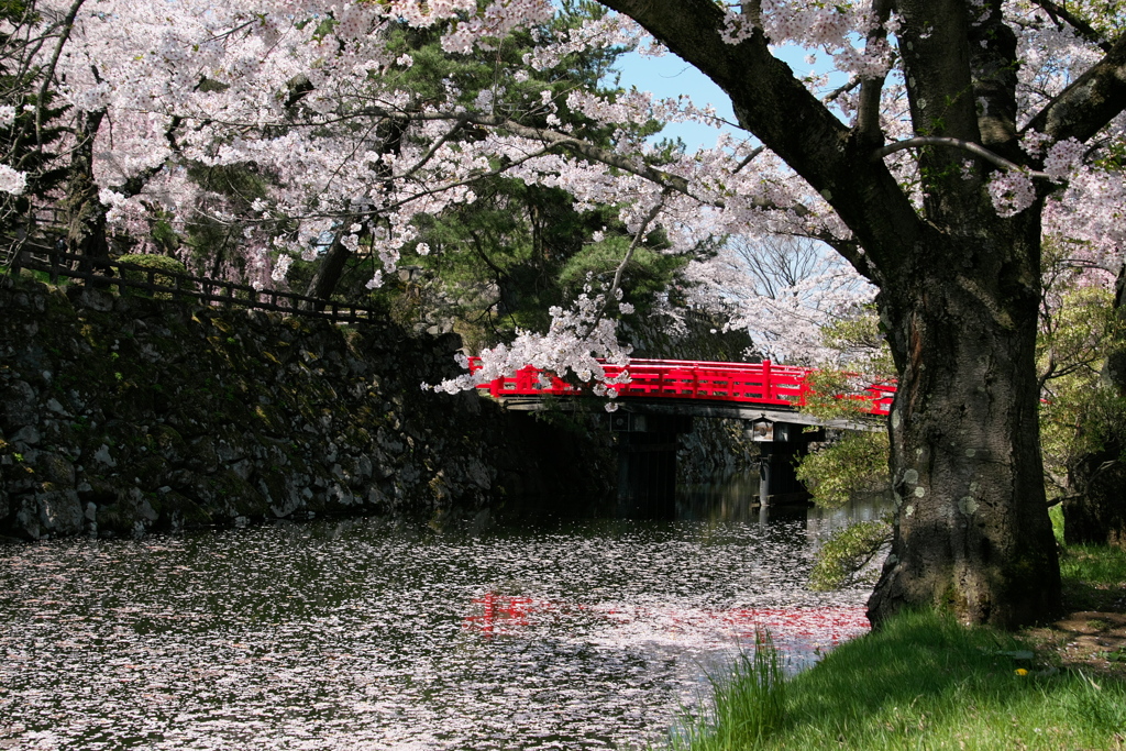 弘前城鷹丘橋