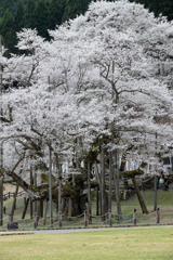 時代を超えて