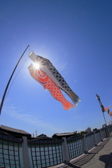 青空がよく似合う
