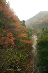 秘境駅周辺渓谷