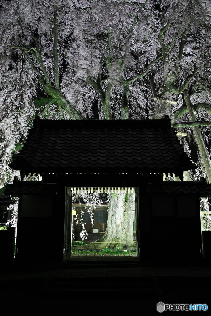 増泉寺山門