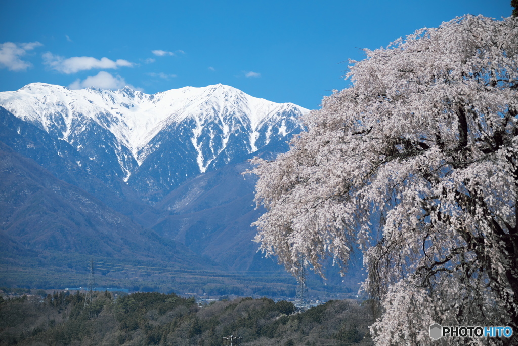 南吉瀬のしだれ桜からの駒ヶ岳