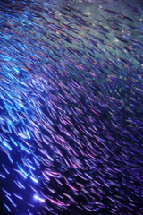 流れ