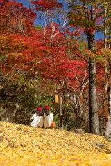 稲武もみじ祭り