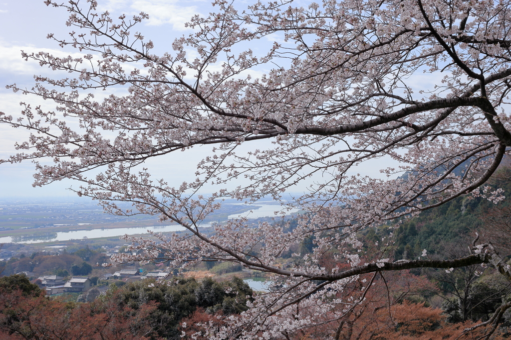 濃尾平野