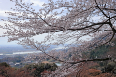 濃尾平野
