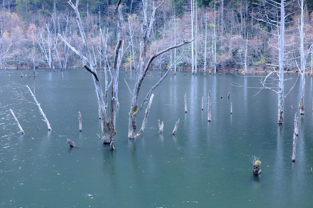 木曽の自然湖