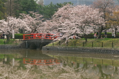 刈谷市亀城公園