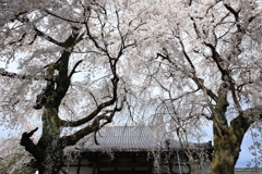 天を埋める