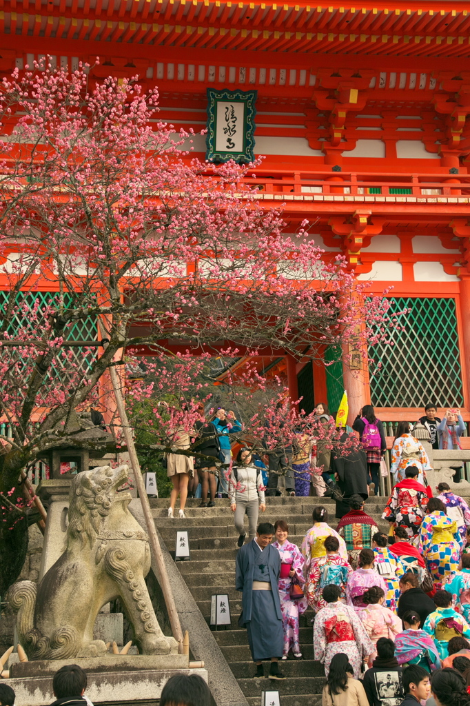 清水寺