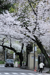 那古野神社