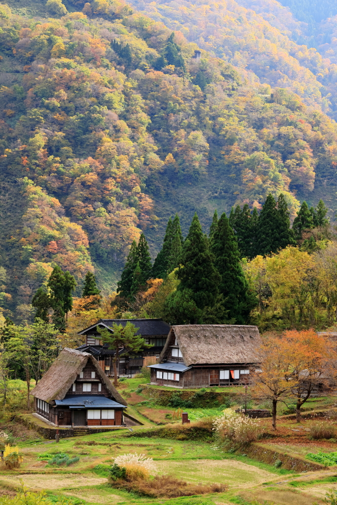 相倉