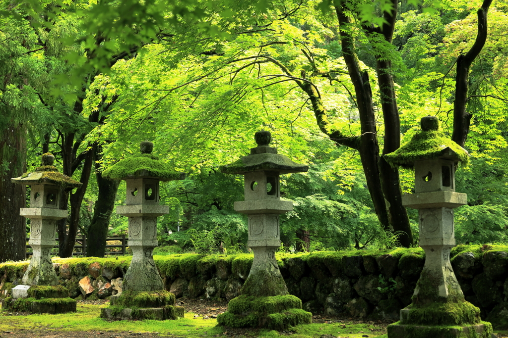 谷汲山華厳寺の青葉と灯籠