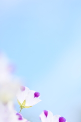 青空