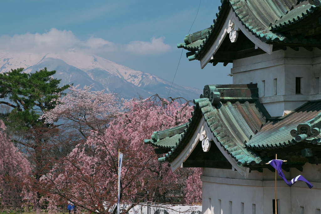 弘前城と岩木山