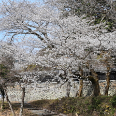 城壁