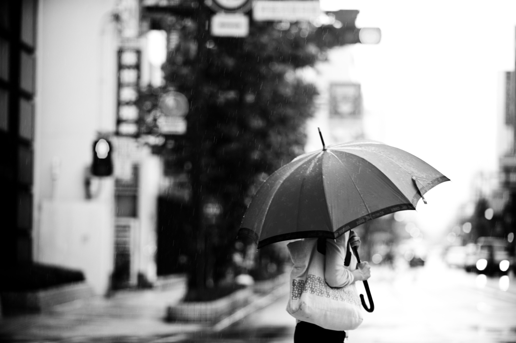 Umbrella