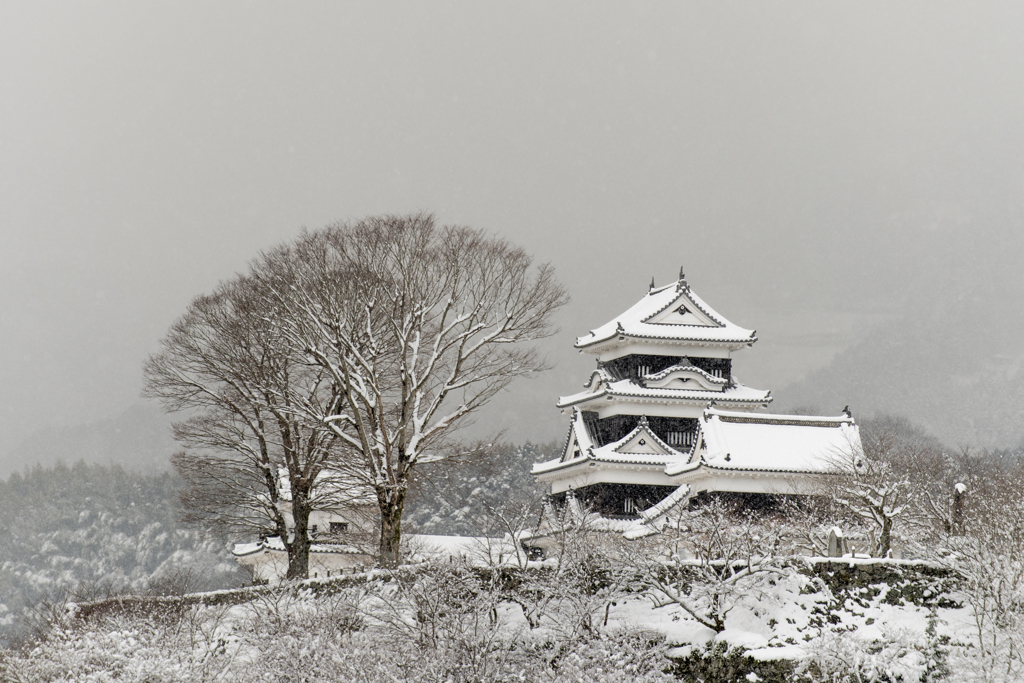 雪の大洲城
