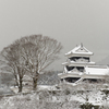 雪の大洲城
