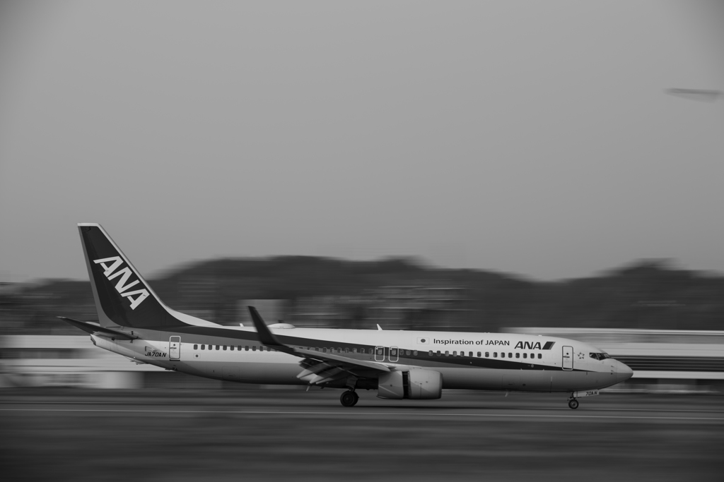 ANA