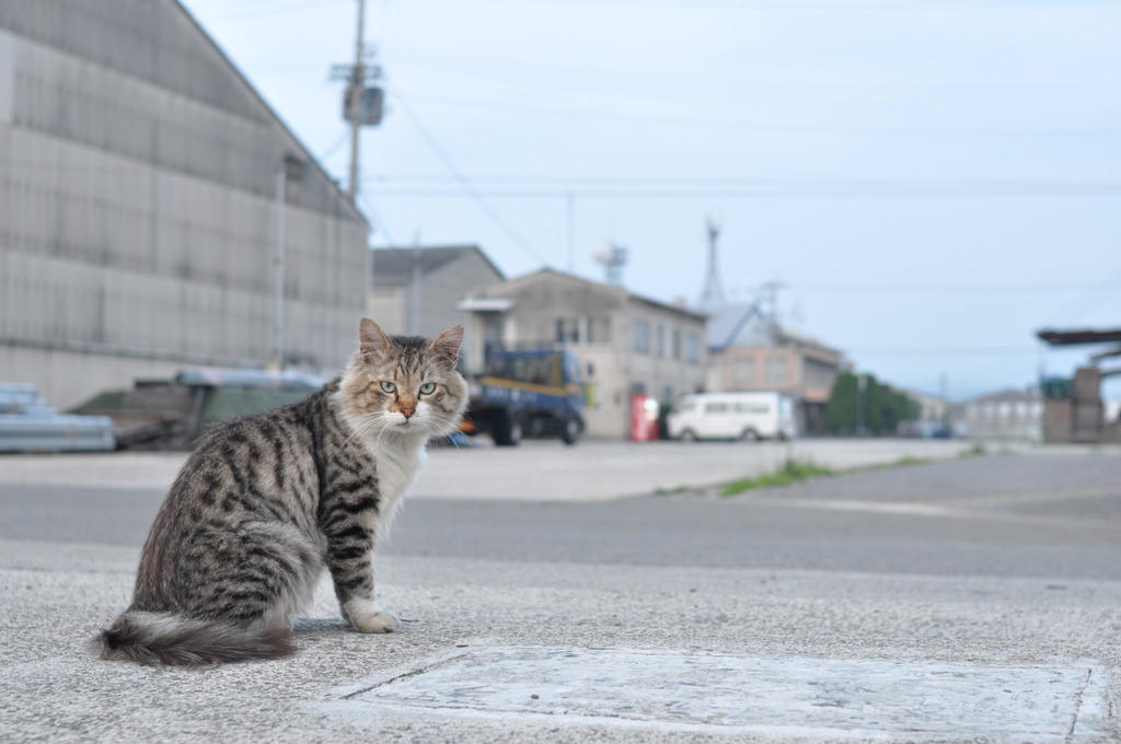 何見てんだよ！？