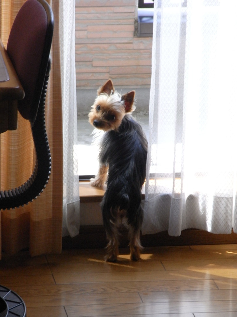 あら！見てたのネ！