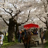 トンネルを闊歩