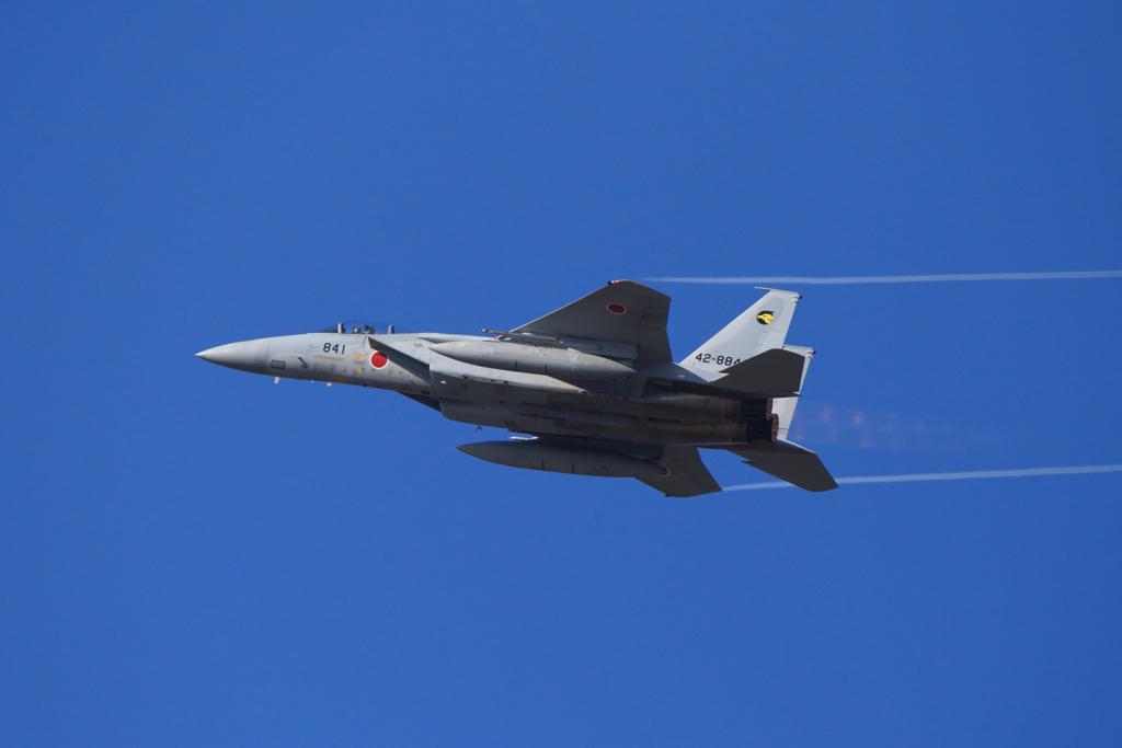 F-15J（百里基地の創設50周年記念航空祭（特別公開））