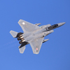 F-15J（百里基地の創設50周年記念航空祭（特別公開））