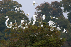 河川敷のてんやわんや～♪