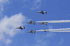 T-4 ブルー × 6