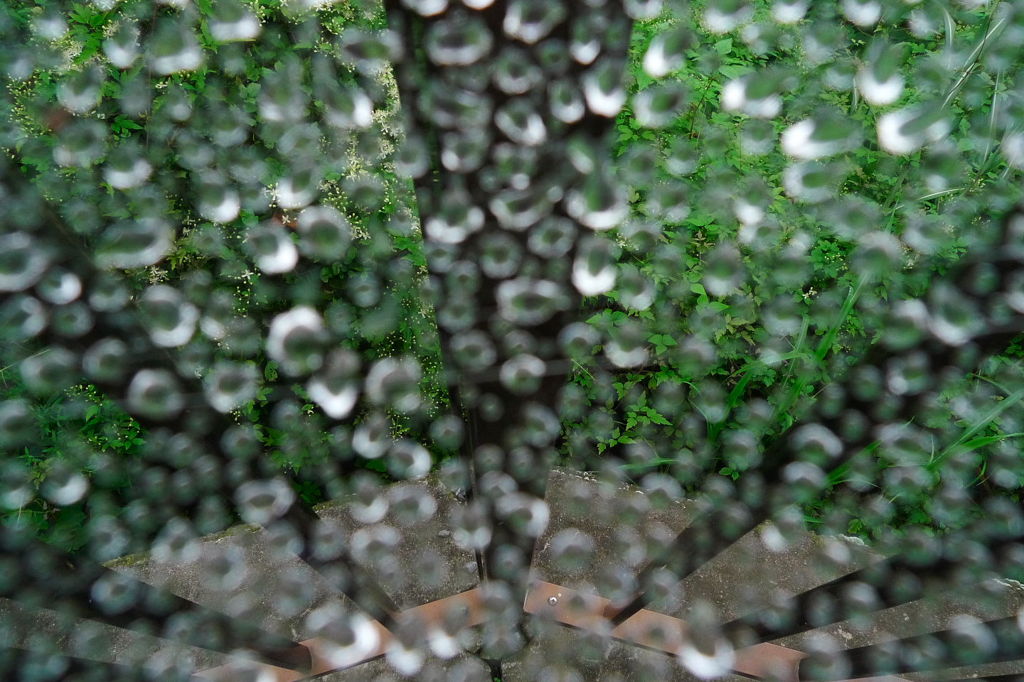 蜘蛛の糸の後ろ側