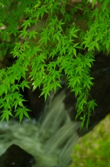 涼感