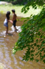 夏の記憶