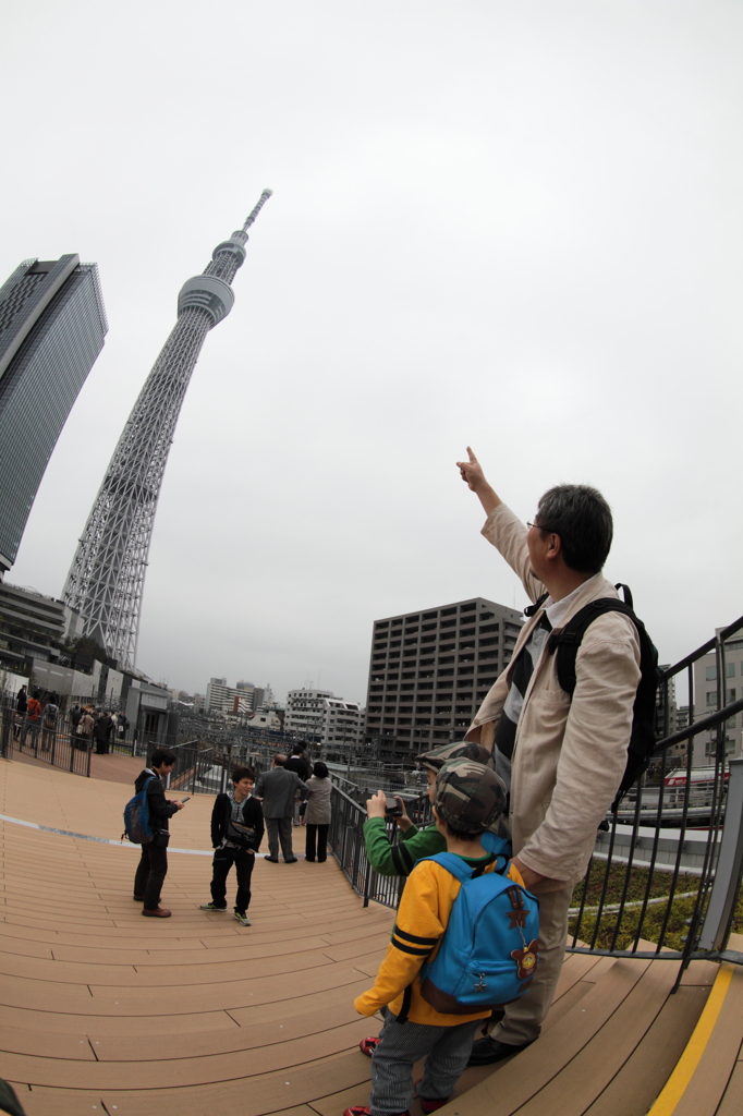 見上げてごらん