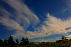 羽ばたく雲