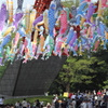 足もとの鯉、頭上のコイ