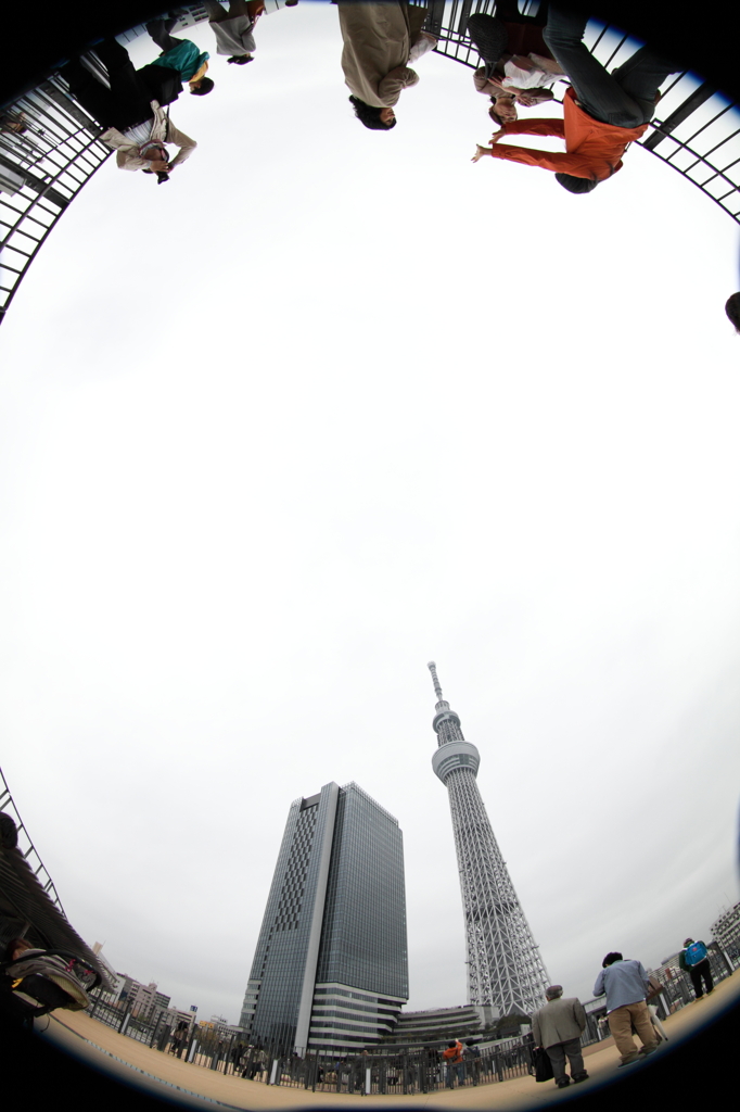 新展望台