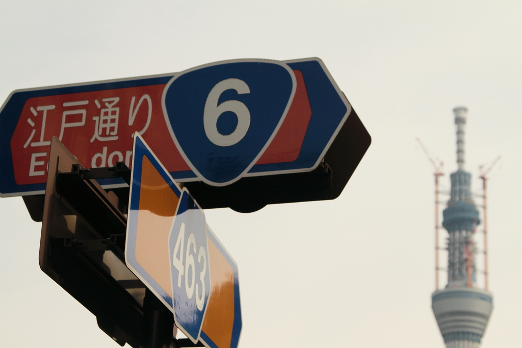 ルート6