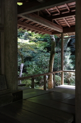 雅