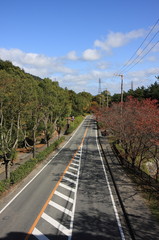 秋へと続く道