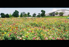 鹿児島都市農業センター