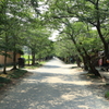 秋月杉ノ馬場